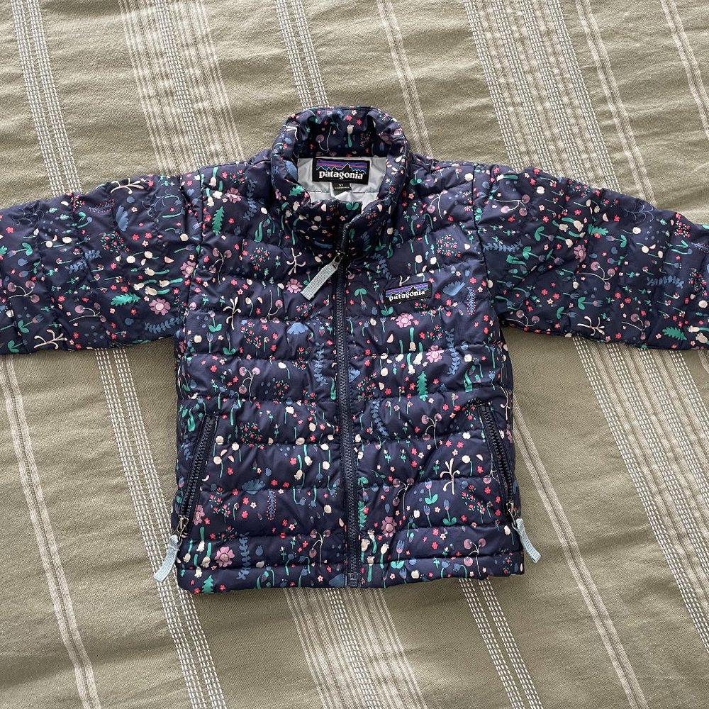 Patagonia Toddler Down Jacket 2T